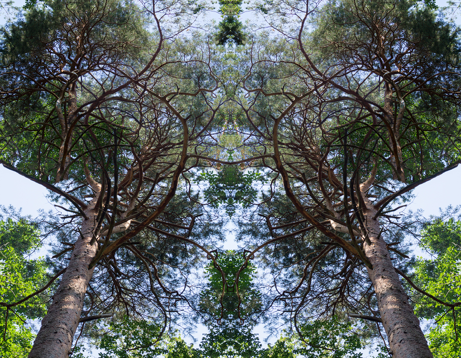 about image